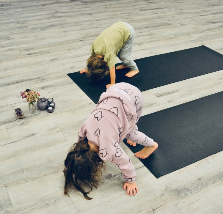 Herabschauender Hund